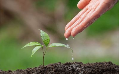 Bandes participa de feira capixaba que promete dar propulsão ao ecossistema agroflorestal em Alegre