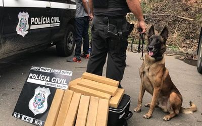 Morre Zack, primeiro cão policial do Departamento de Homicídios e Proteção à Pessoa do Espírito Santo