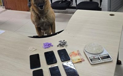 Grupamento de Operações com Cães da Guarda Municipal de Cariacica apreende drogas em porão e leva traficante para a cadeia