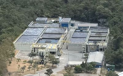 Cesan registra crescimento histórico de 43% no lucro em 2024