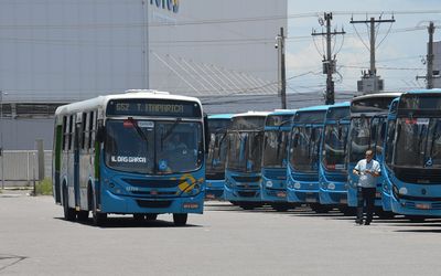 Transcol vai ganhar 234 novos ônibus em 2026