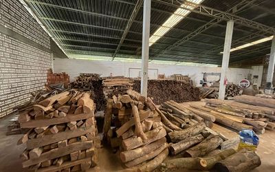 Operação da Polícia Federal e do Ibama combate organização criminosa capixaba que poderia faturar até R$ 370 milhões com tráfico do Pau-Brasil