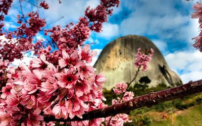 Espírito Santo é o terceiro Estado mais acolhedor do Brasil