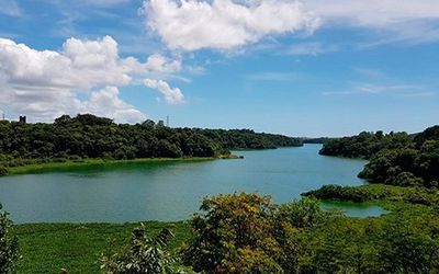Revitalização das bacias hidrográficas, maior segurança hídrica e manutenção da cobertura florestal no Espírito Santo