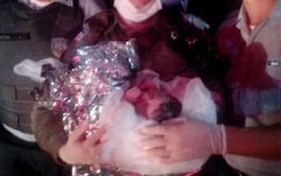 SARGENTO RELATA COMO FOI REALIZAR PARTO EM COLATINA: Policiais militares ajudam no nascimento da menina Ingrid no Espírito Santo
