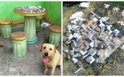 Batalhão de Missões Especiais faz nesta sexta-feira homenagem a cães farejadores e aos militares que são ‘Destaques Operacionais’