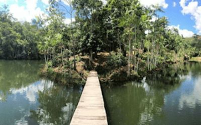 EXCLUSIVO: Capixaba investigado na Lava Jato comprou fazenda por R$ 2 milhões no Espírito Santo