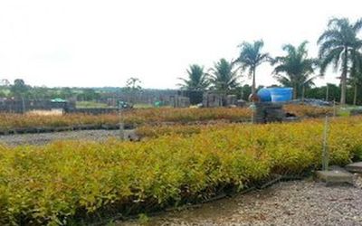 GOLPE FOI DESCOBERTO GRAÇAS A DENÚNCIAS DE ASSENTADOS E AO REGISTRO DE VEÍCULOS NAS PRAÇAS DE PEDÁGIO DA BR-101: Fraude milionária no pagamento de diárias a servidores do Incra no Espírito Santo