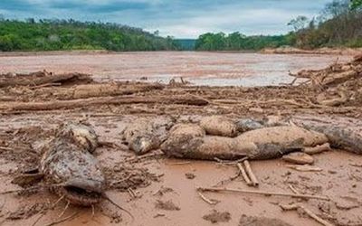 Polícia Civil ignora efeitos do maior desastre ambiental no Espírito Santo