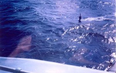 Exclusivo: o dia em que Fragata da Marinha brasileira quase afundou submarino nuclear americano dois anos após a Guerra das Malvinas