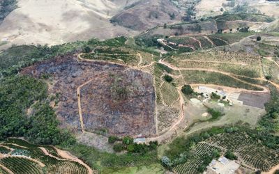 Operação Mata Atlântica em Pé 2024 aplica quase R$ 3 milhões em multas no Espírito Santo