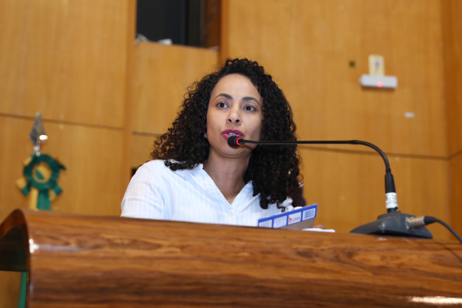 Camila Valadão solicita ao Governo capixaba gratuidade no transporte intermunicipal no segundo turno das eleições