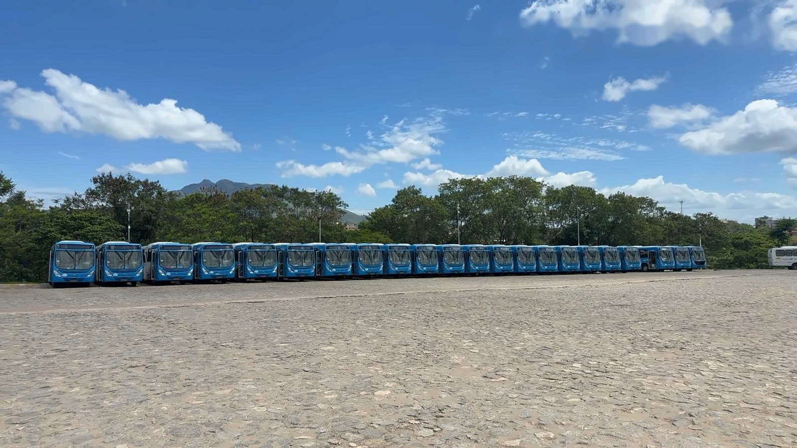 Governo do Estado incorpora 40 novos ônibus ao Transcol em outubro