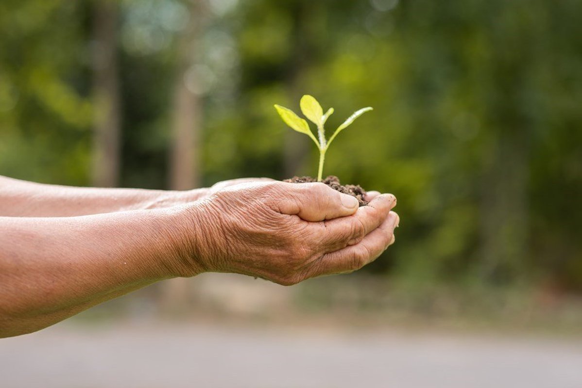 Espírito Santo promove ‘Sustentabilidade Brasil’, a maior conferência nacional sobre sustentabilidade e ESG