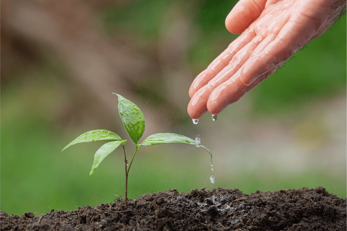 Bandes participa de feira capixaba que promete dar propulsão ao ecossistema agroflorestal em Alegre