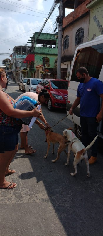 Cariacica tem o melhor serviço de castração gratuita de cães e gatos e vai construir a primeira Clínica Veterinária Pública no Espírito Santo