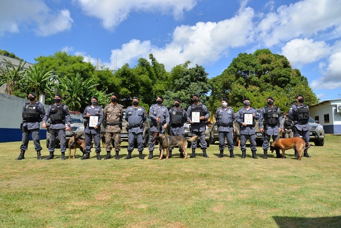 Unidades da Polícia Militar recebem cães para reativação do Programa K9 no Espírito Santo