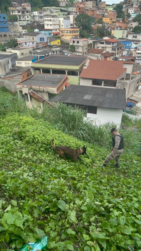 Força Tarefa de Segurança Pública do Espírito Santo deflagra operação contra organização criminosa