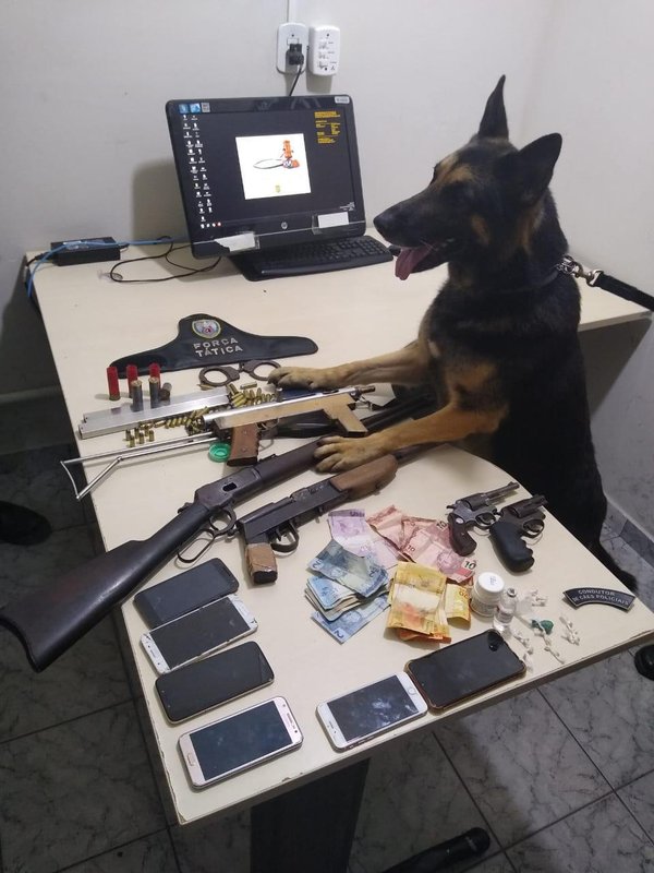 Jhoy, o cão xerife, ajuda Polícia Militar a prender bandidos que estavam armados até os dentes