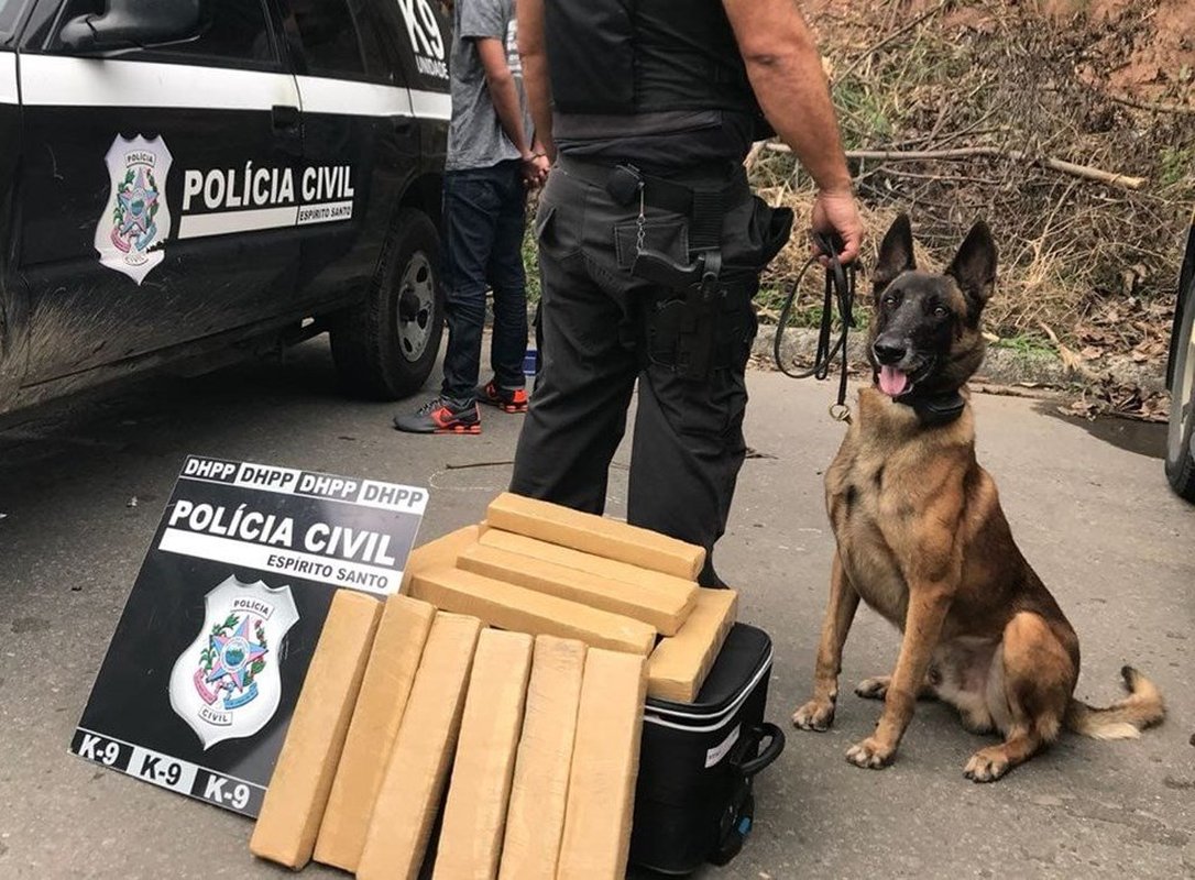 Morre Zack, primeiro cão policial do Departamento de Homicídios e Proteção à Pessoa do Espírito Santo