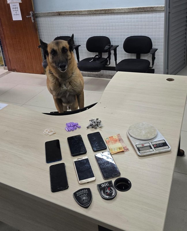 Grupamento de Operações com Cães da Guarda Municipal de Cariacica apreende drogas em porão e leva traficante para a cadeia