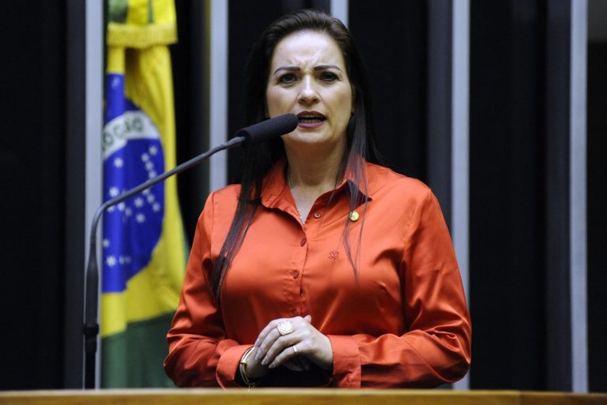 Deputada Lauriete apresenta Projeto de Lei que cria fundo para amparar vítimas de violência sexual em todo o País