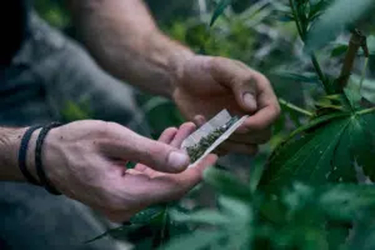 Supremo oferece, pela primeira vez, segurança jurídica à Lei de Drogas