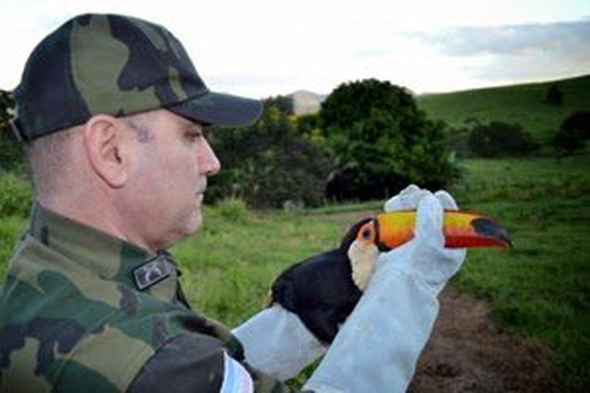 Destaques Operacionais do BPMA e militares que vão para reserva recebem homenagens do Comando  da Polícia Militar do Espírito Santo