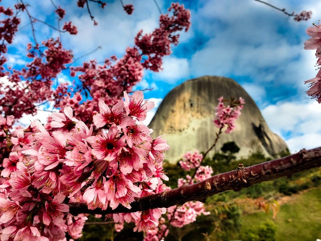 Espírito Santo é o terceiro Estado mais acolhedor do Brasil