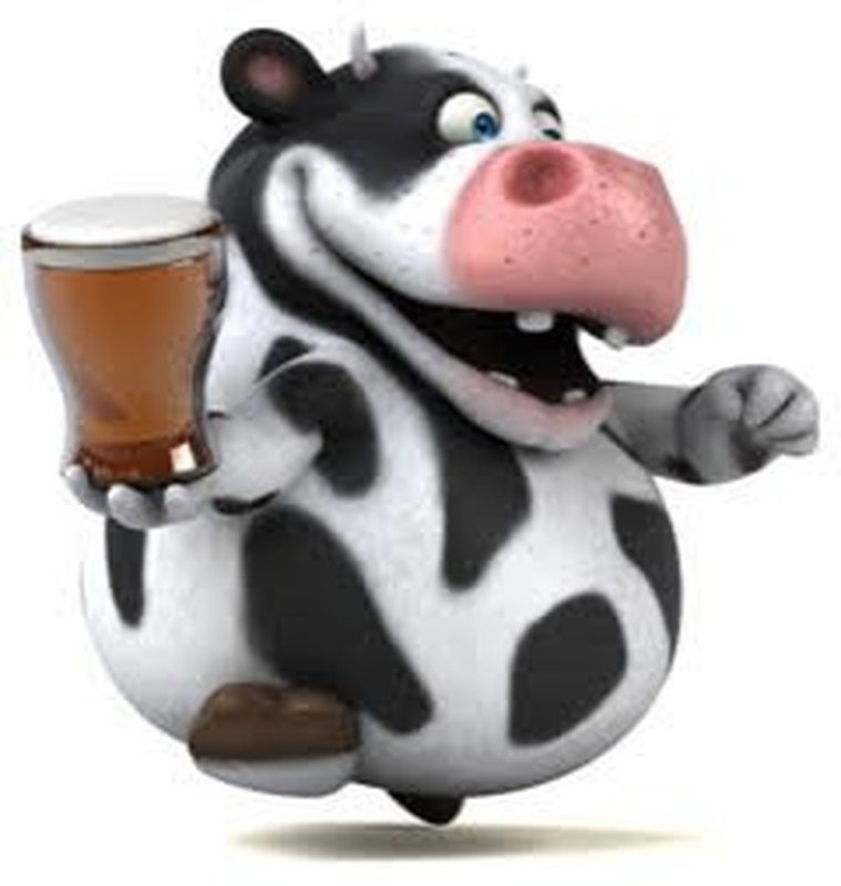 A vaca louca