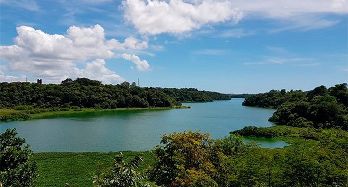 Revitalização das bacias hidrográficas, maior segurança hídrica e manutenção da cobertura florestal no Espírito Santo