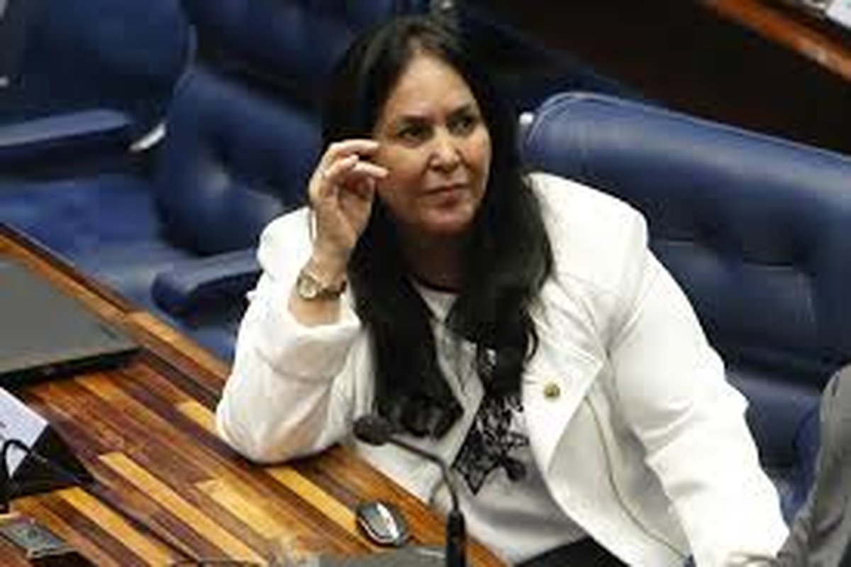 Senadora Rose envia à Justiça levantamento com projetos do Congresso que combatem violência contra as mulheres