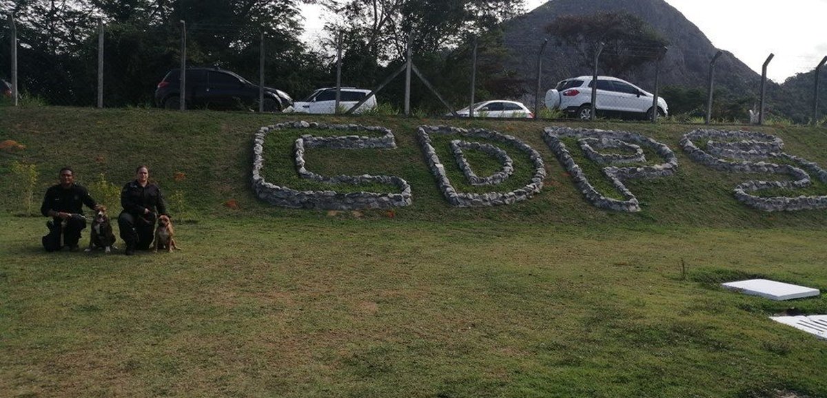 Cão Kodar divide jornada de trabalho de inspetor penitenciário no Centro de Detenção Provisória da Serra