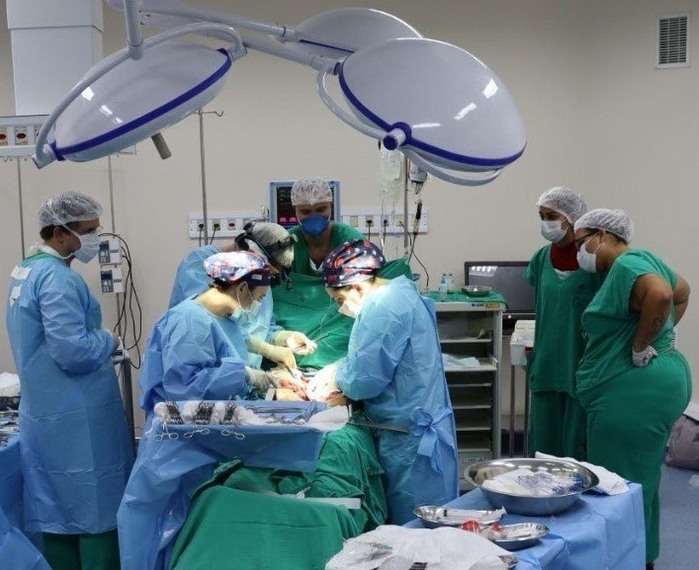 Estado já soma mais de 71 mil cirurgias eletivas realizadas neste ano