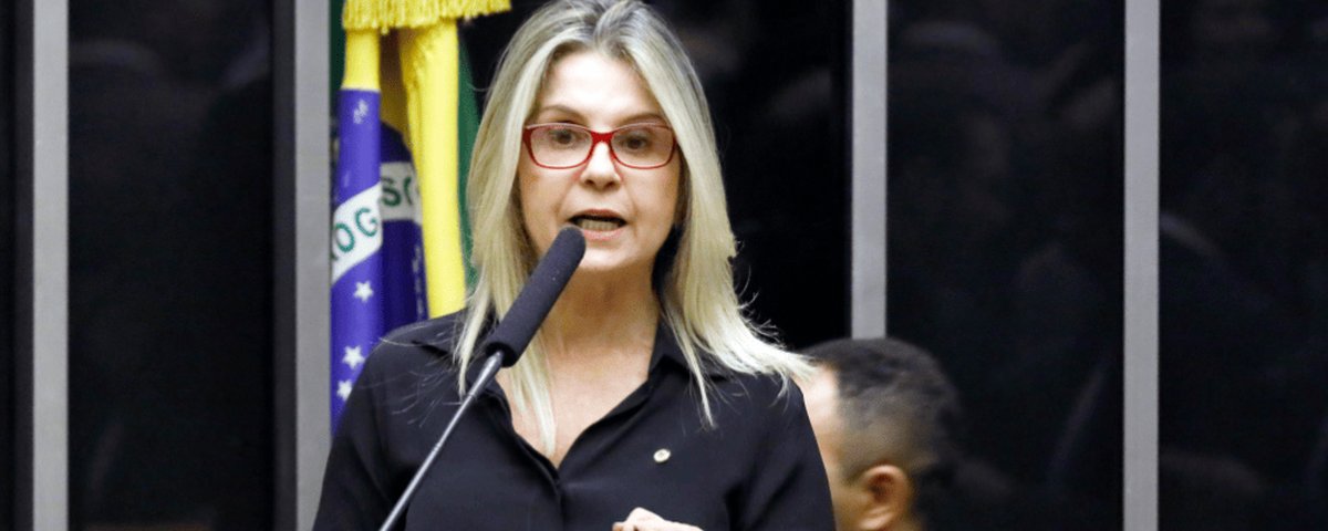 CASO PEN DRIVE: Irmão da deputada Soraya Manato, procurador de Justiça se manifesta em favor da parlamentar em inquérito que investiga ‘fake news’ contra o Governo