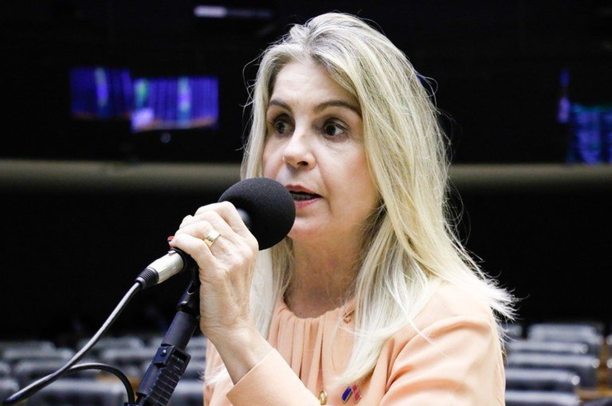 Ex-deputada bolsonarista e dono de ‘site’ são condenados a indenizar governador do Espírito Santo em 40 mil reais