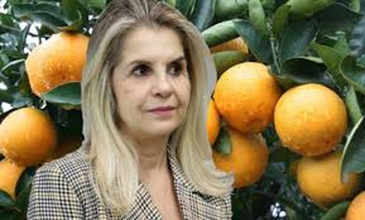 ELA SE DIZ EVANGÉLICA, MAS SE ENVOLVE COM FAKE NEWS: Justiça manda deputada Soraya Manato a excluir de suas redes sociais notícias falsas contra o povo do Espírito Santo