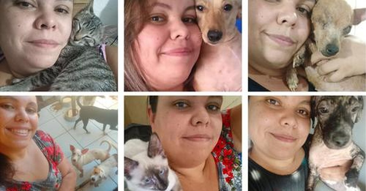 A capixaba que dedica a vida para cuidar de cães e gatos abandonados: “Na verdade, foram eles que me resgataram”, diz Doris