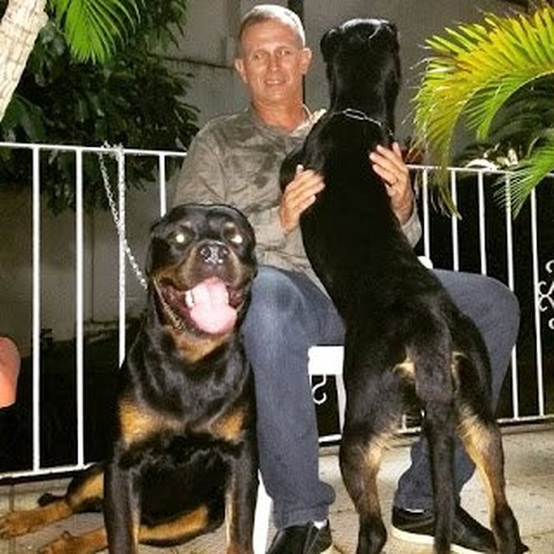 POR MUITO MENOS, ELE ABRIU PADs E IPMs EM DESFAVOR DE OFICIAIS E PRAÇAS: Coronel Nylton comete crime de insubordinação ao criticar o governo e o comando-geral da PM do Espírito Santo