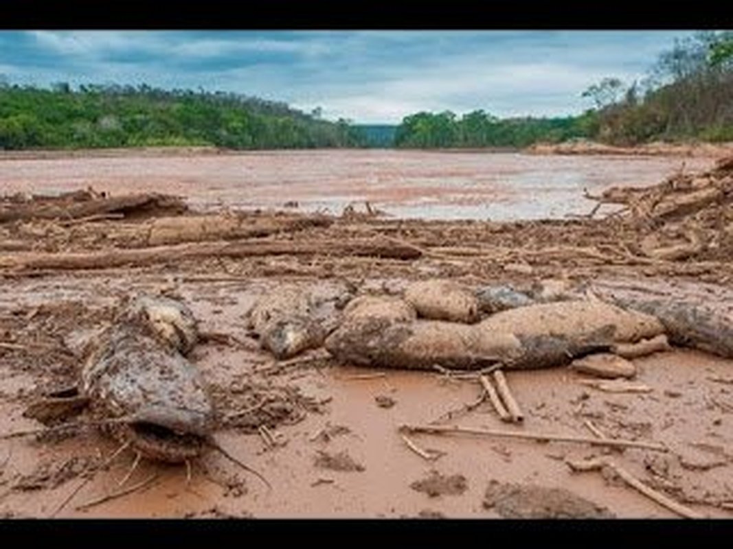 Polícia Civil ignora efeitos do maior desastre ambiental no Espírito Santo