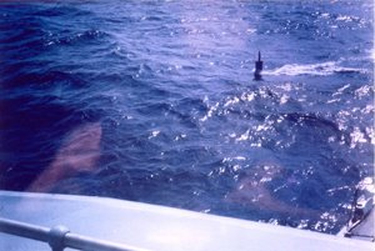 Exclusivo: o dia em que Fragata da Marinha brasileira quase afundou submarino nuclear americano dois anos após a Guerra das Malvinas