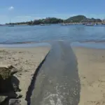 Mancha escura em praia capixaba é causada pela Prefeitura de Vitória