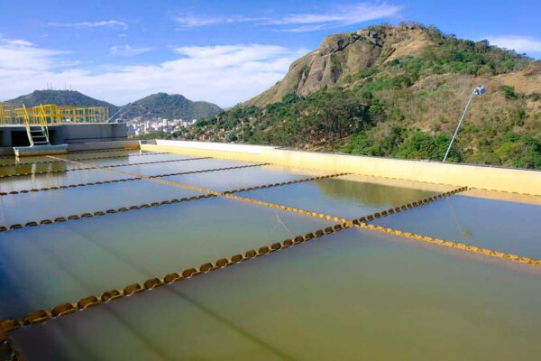 Cesan é a marca mais lembrada em recall no Espírito Santo